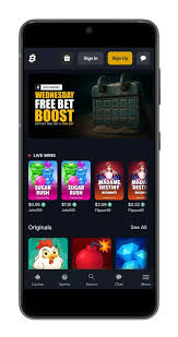 Bitfortune The Ultimate Platform for Live Casino Enthusiasts