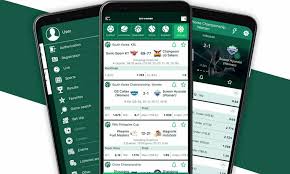 BetWinner Sportsbook Your Gateway to Online Betting