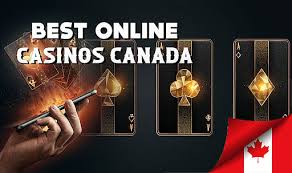 Discover the Best Online Gambling Sites in Canada -312841855